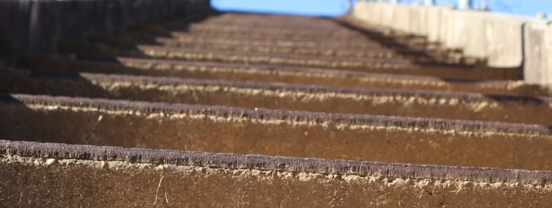 brow-shaping-101--step-by-step-guide-to-perfect-arches-from-rejuvenate-spa-experts