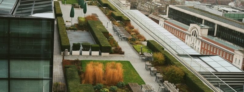 discover-a-napa-valley-inspired-spa-retreat-in-chevy-chase-at-rejuvenate-spa