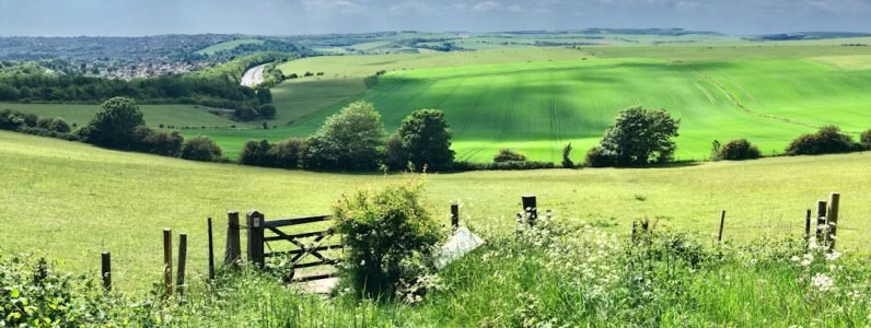 holistic-spa-retreat-in-chevy-chase--a-modern-alternative-to-elements-boutique-spa