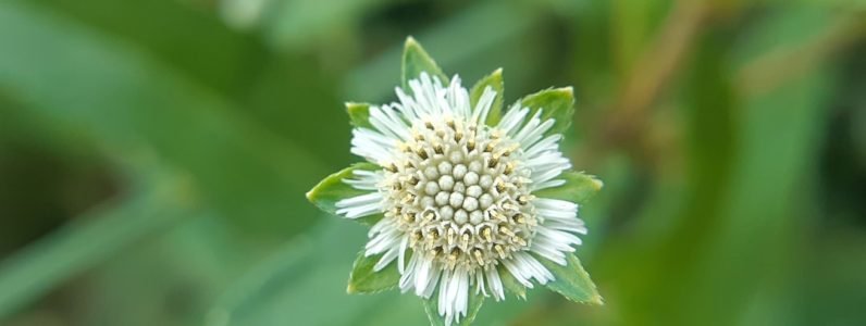 integrative-spa-therapies-in-chevy-chase--holistic-healing-at-rejuvenate-spa-services