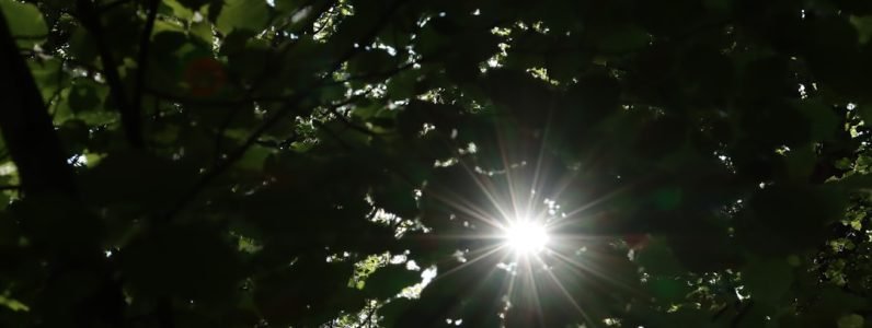 protect-your-skin--early-detection-and-preventative-treatments-at-rejuvenate-spa