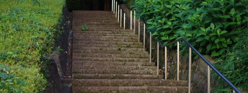 revitalize-your-brows--brow-lamination---shaping-at-rejuvenate-spa-in-chevy-chase