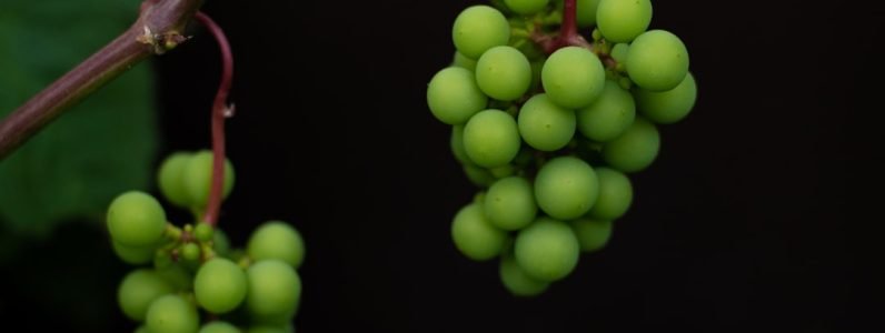 savor-wine-country-inspired-spa-treatments-at-rejuvenate-spa-in-chevy-chase