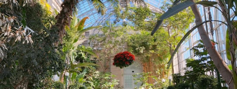 spa-day-passes-in-chevy-chase--why-rejuvenate-outshines-chateau-elan