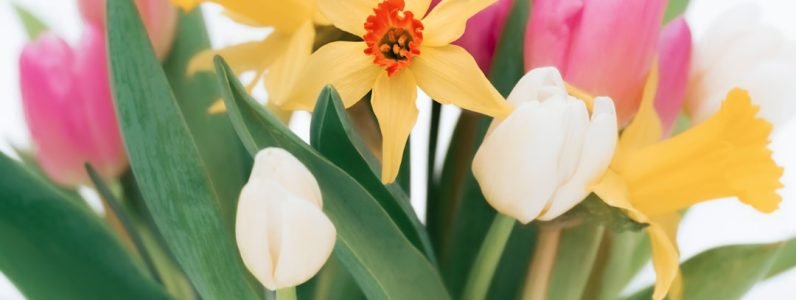 spring-skin-sos-in-chevy-chase--6-holistic-tips-from-rejuvenate-spa-experts