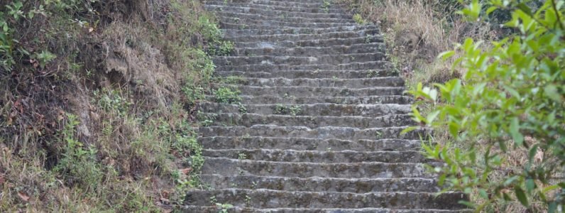 waxing--lamination--microblading--which-brow-service-is-right-for-you-at-rejuvenate-spa